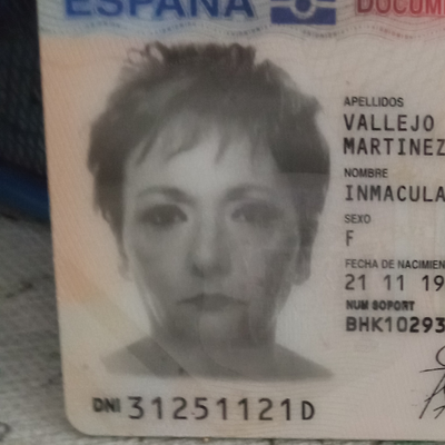 Inmaculada Vallejo Martinez 