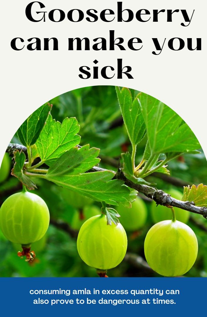 Gooseberry
can make you

 

consuming amla in excess quantity can
also prove to be dangerous at times.