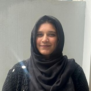 Menal Sajjad