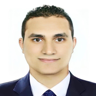 Mohamed Abou Elsafa