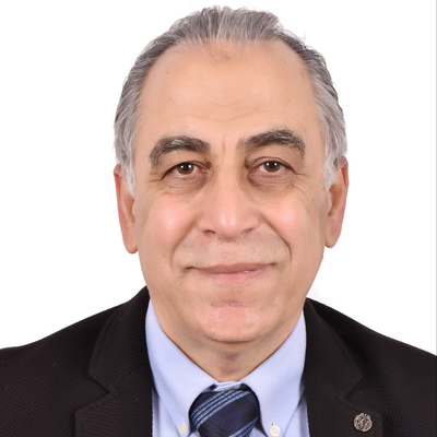 Ziad El Sandid