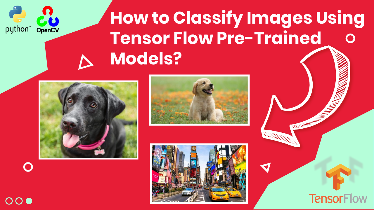 How to Classify Images Using
Tensor Flow Pre-Trained ©
[LY LL [1 Exe \