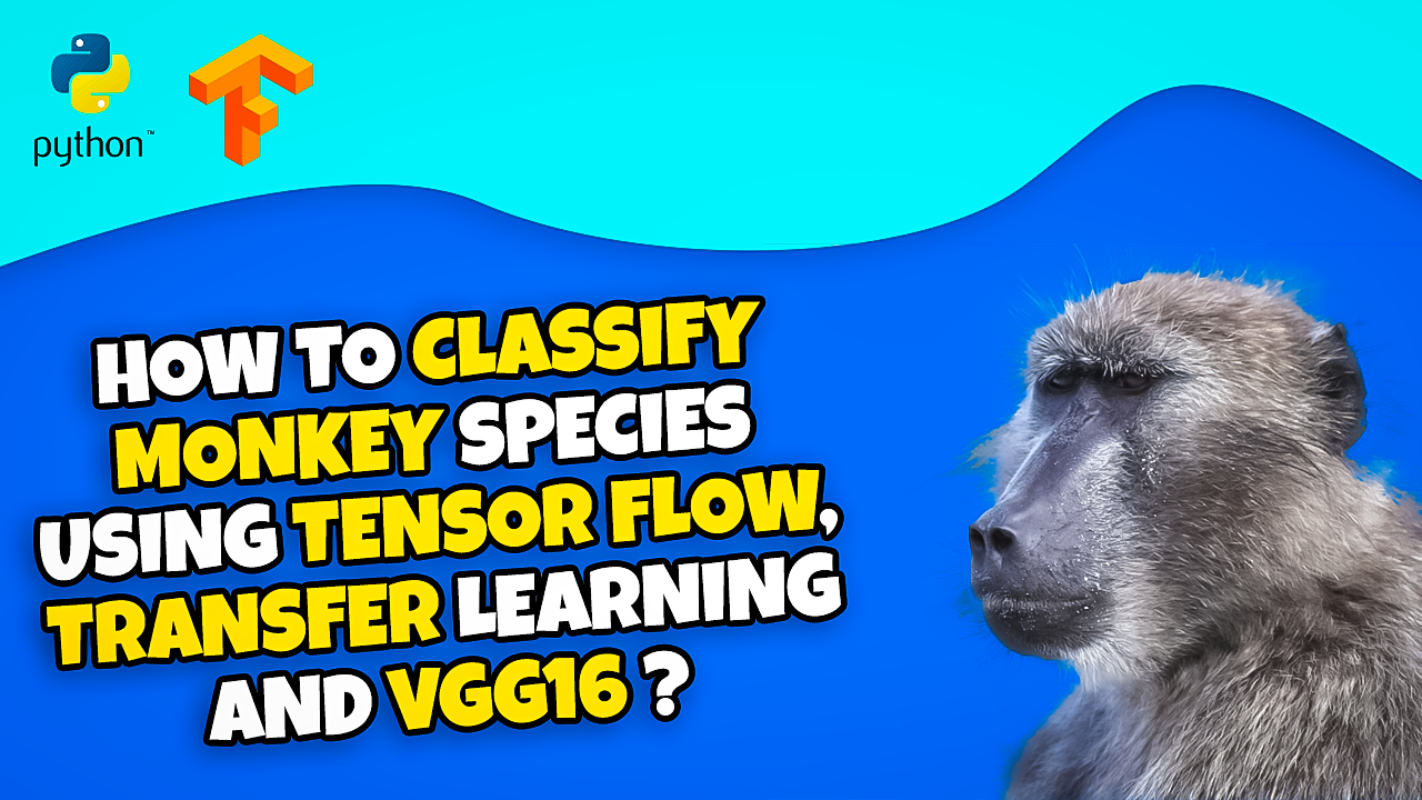 HOW TO CLASSIFY
TTA Ag laa
USING TENSOR FLOW,
TRANSFER LEARNING
AND VGG16?