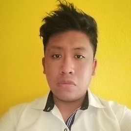 HECTOR ORLANDO PEREZ HERNANDEZ