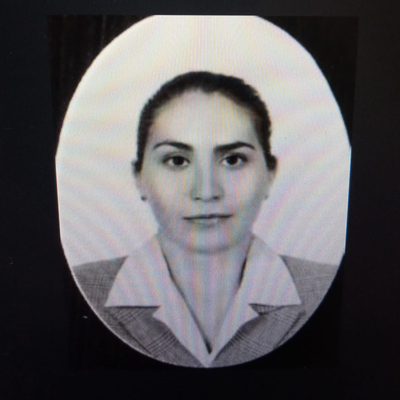 Monica Villaseñor García