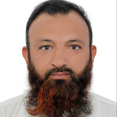 Malik Ali Asad