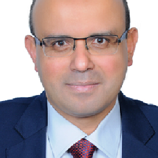 Mahmoud  ELMENAWY 