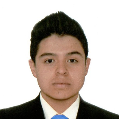 Luis David  Valero Reyes