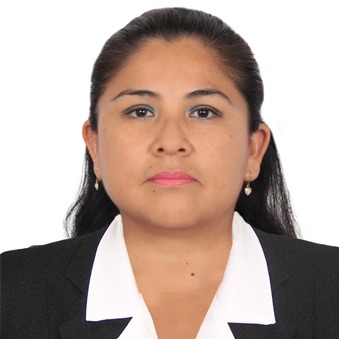 Lourdes Taipe