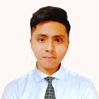 Ronald Sanchez Ramos