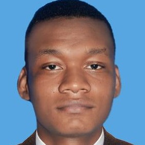 Nilton Andres Peñaloza  Salgado