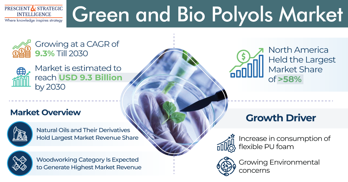 1 Green and Bio Polyols Market

"A i f
AL Growing ata CAGR 0 Norther,
Sl Held the Largest

alll Market Share

9.3% Till 2030

Market is estimated to

oo reach USD 9.3 Billion \ 0 of &gt;58%
by 2030 \
Market Overview / a
Growth Driver

    

Ji Natural Oils and Their Derivatives
Hold Largest Market Revenue Share ® |ncrease in consumption of
000 5 flexible PU foam
Woodworking Category Is Expected
to Generate Highest Market Revenue

  
 

@; Growing Environmental
concerns