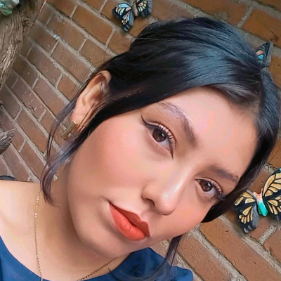 Diana Valeria  Yañez Sanchez 
