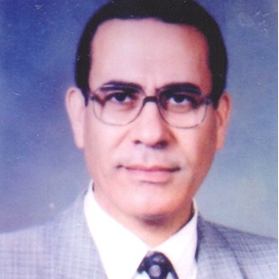 Mohamed Samir Alburaie
