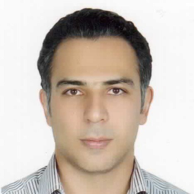 Hamed Sahraei