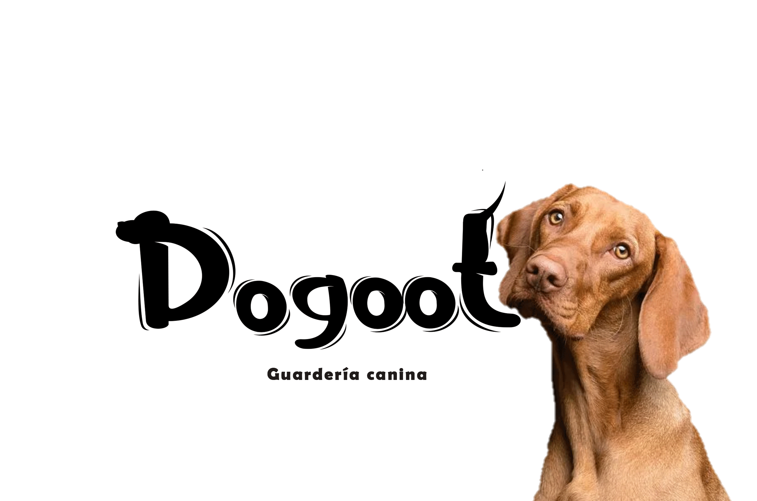 Jogoof

Guarderia canina