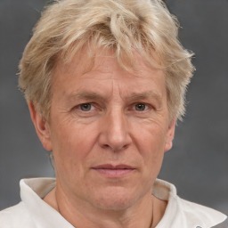 Daan Van der Horst