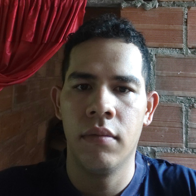 Luis felipe Ortiz portillo