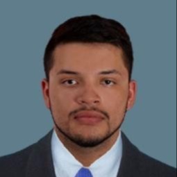 Manuel Santiago Luna Bermudez