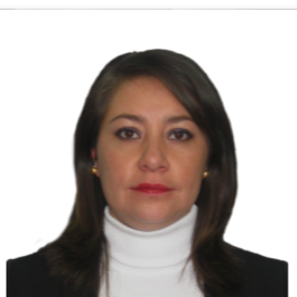 Marisol Pardo