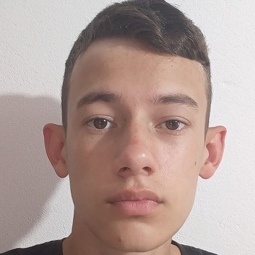 Alexandre Ambrós Ohse