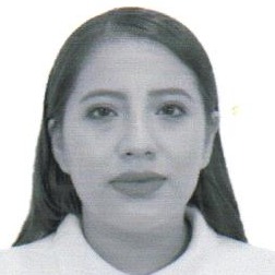 Lizeth Verenice Flores Garcia