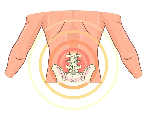 Os benefícios da massagem terapêutica no alívio da dor nas costas:A massagem terapêutica desempenha um papel crucial no alívio da dor nas costas, proporcionando relaxamento muscular profundo, redução do estresse, melhora da postura e do equilíbrio, além de aumentar a flexibilidade e a amplitude de movimento.