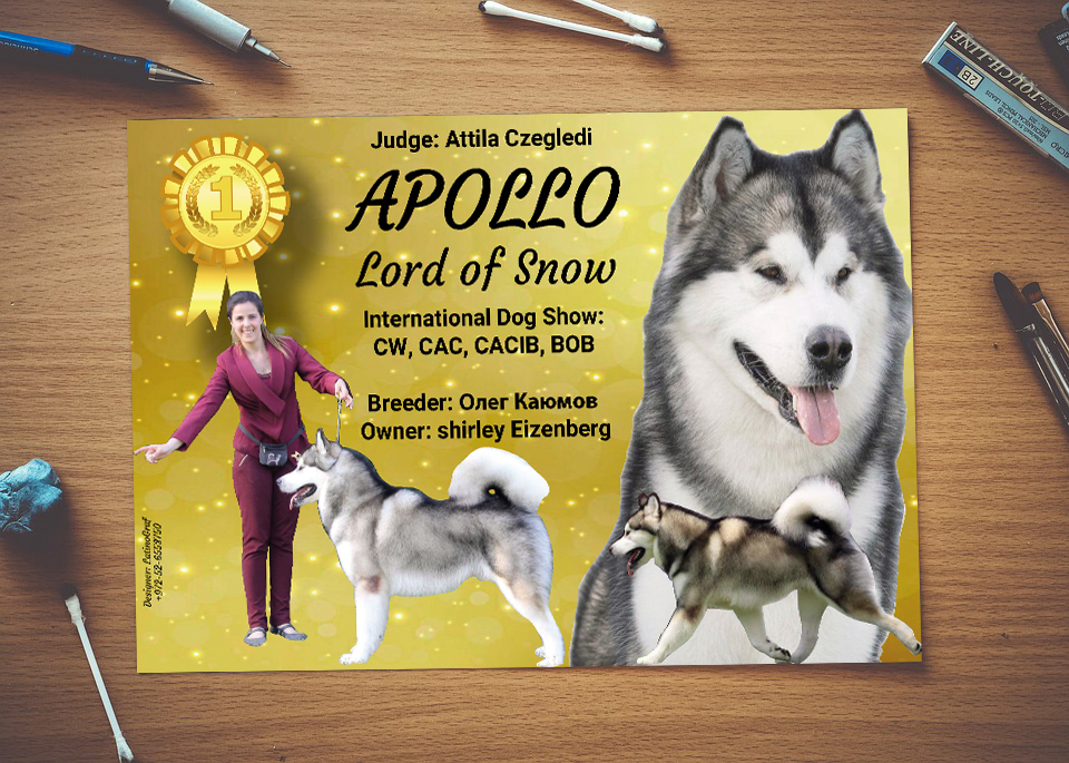 Judge: Attila Czegledi

APOLLO

Lord of Snow

International Dog Show:
CW, CAC, CACIB, BOB

Breeder: Oner Kaomos

Owner: shirley Eizenberg =
{mR